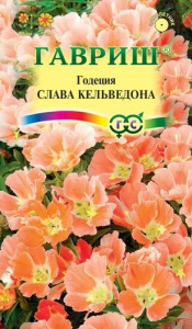 Годеция Слава Кельведона  купить