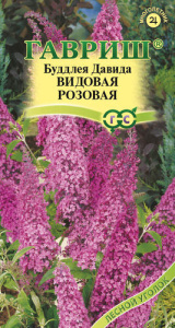 Буддлея Давида розовая  купить