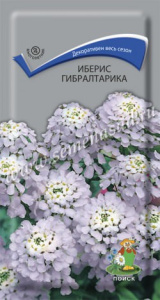 Иберис Гибралтарика купить