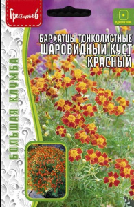 Бархатцы Шаровидный Куст Красный тонколистные купить