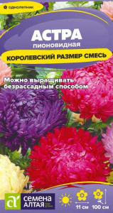 Астра Королевский Размер Смесь пионовидная купить