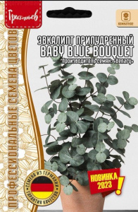 Эвкалипт Бейби БлуБогет (Baby Blue Bouquet) припудренный купить