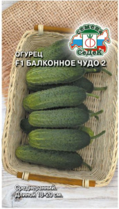 Огурец Балконное Чудо 2  F1 купить
