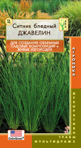 Ситник бледный Джавелин  купить