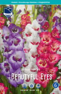 Смесь гладиолусов Beautiful Eyes /15шт купить