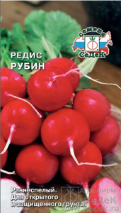 Редис Рубин  купить