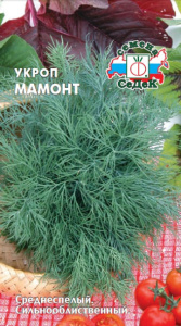 Укроп Мамонт  купить