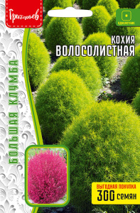 Кохия Волосолистная купить