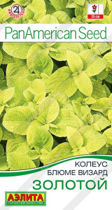 Колеус Золотой блюме купить