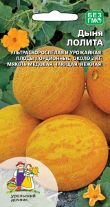 Дыня Лолита  купить