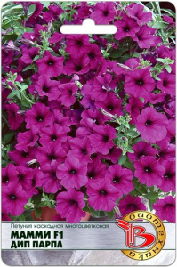 Петуния Мамми F1 Дип Парпл каскадная многоцветковая купить