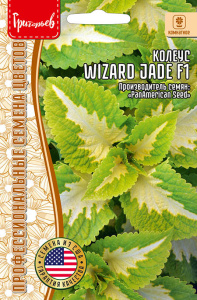 Колеус Визард Жаде (Jade) F1 купить