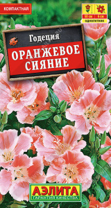 Годеция Оранжевое сияние махровая  купить