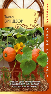 Тыква Виндзор купить