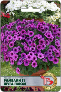 Петуния Рамблин F1 Шуга Плюм каскадная купить