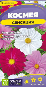 Космея Сенсация купить