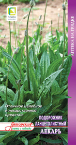 Подорожник ланцетолистный Лекарь купить