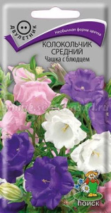 Колокольчик Чашка с блюдцем средний купить