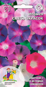 Ипомея Смесь окрасок (Ipomoea purpurea)  (УУ)  купить