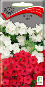 Флокс Фея купить