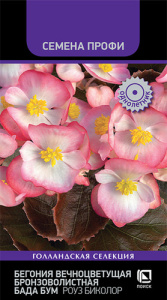 Бегония Бада Бум Роуз Биколор вечноцв. бронзоволистная купить