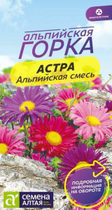 Астра Альпийская смесь  купить