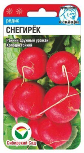 Редис Снегирек  купить