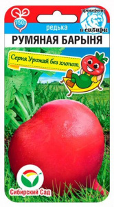 Редька Румяная барыня  купить