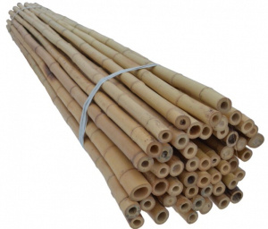 Бамбуковая поддержка 60см 08/10мм купить