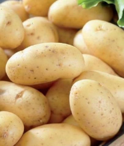 Картофель семенной Коломба 2кг (Суперэлита) купить