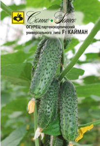 Огурец Кайман F1 купить