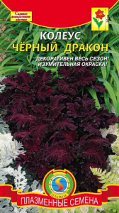 Колеус Черный дракон  купить