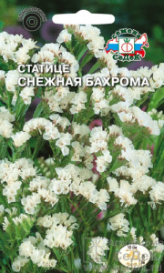Статице Снежная бахрома  купить