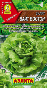 Салат Вайт бостон купить