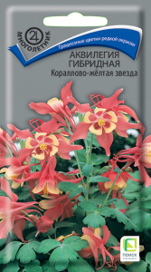 Аквилегия Кораллово-желтая звезда гибридная купить