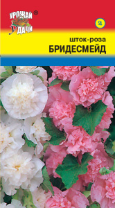 Шток Роза Смесь Бридесмейд  купить