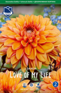 Георгина декоративная Love of My Life /1шт купить
