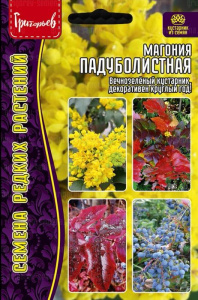 Магония Падуболистная купить