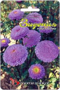 Астра Зидония Лайт Блю  купить