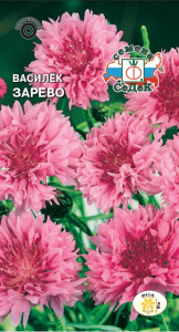 Василек Зарево купить