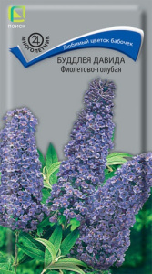 Буддлея Давида Фиолетово-голубая купить