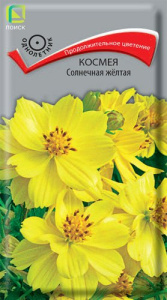 Космея Солнечная желтая купить