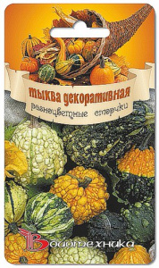 Тыква декоративная Разноцветные сморчки  купить