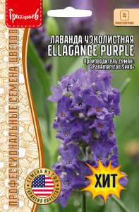 Лаванда узколистная Elegance Purple купить