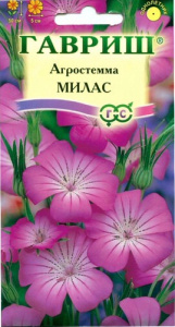 Агростема Милас  купить