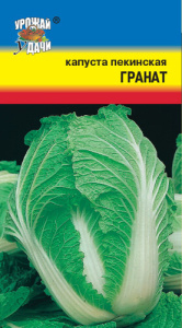 Капуста (пекинская) Гранат купить