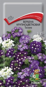 Вербена крупноцветковая Тоскана купить