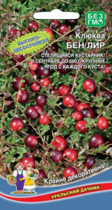 Клюква Бен лир купить