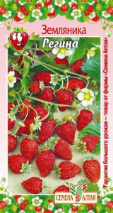 Земляника Регина купить