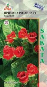 Примула Розанна Скарлет  купить